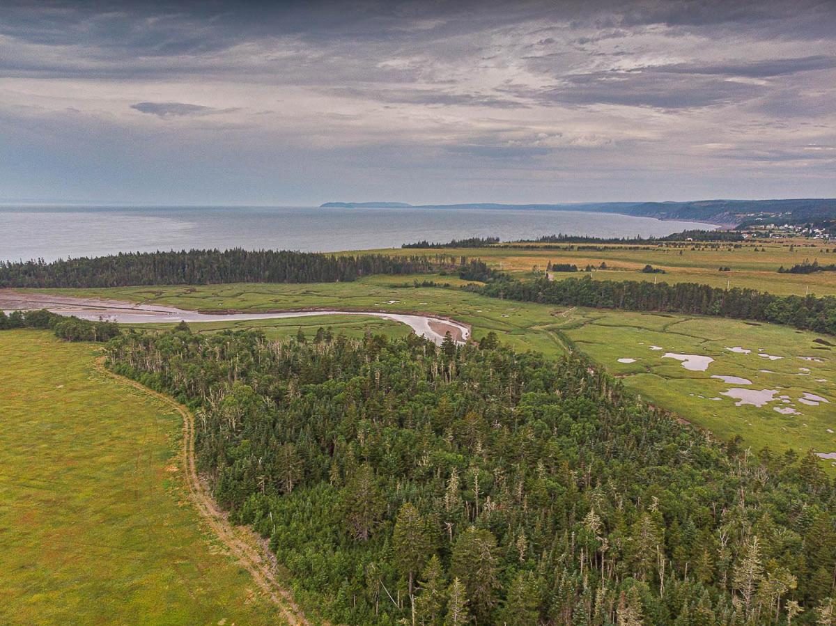 Fox Point Inn Parrsboro المظهر الخارجي الصورة