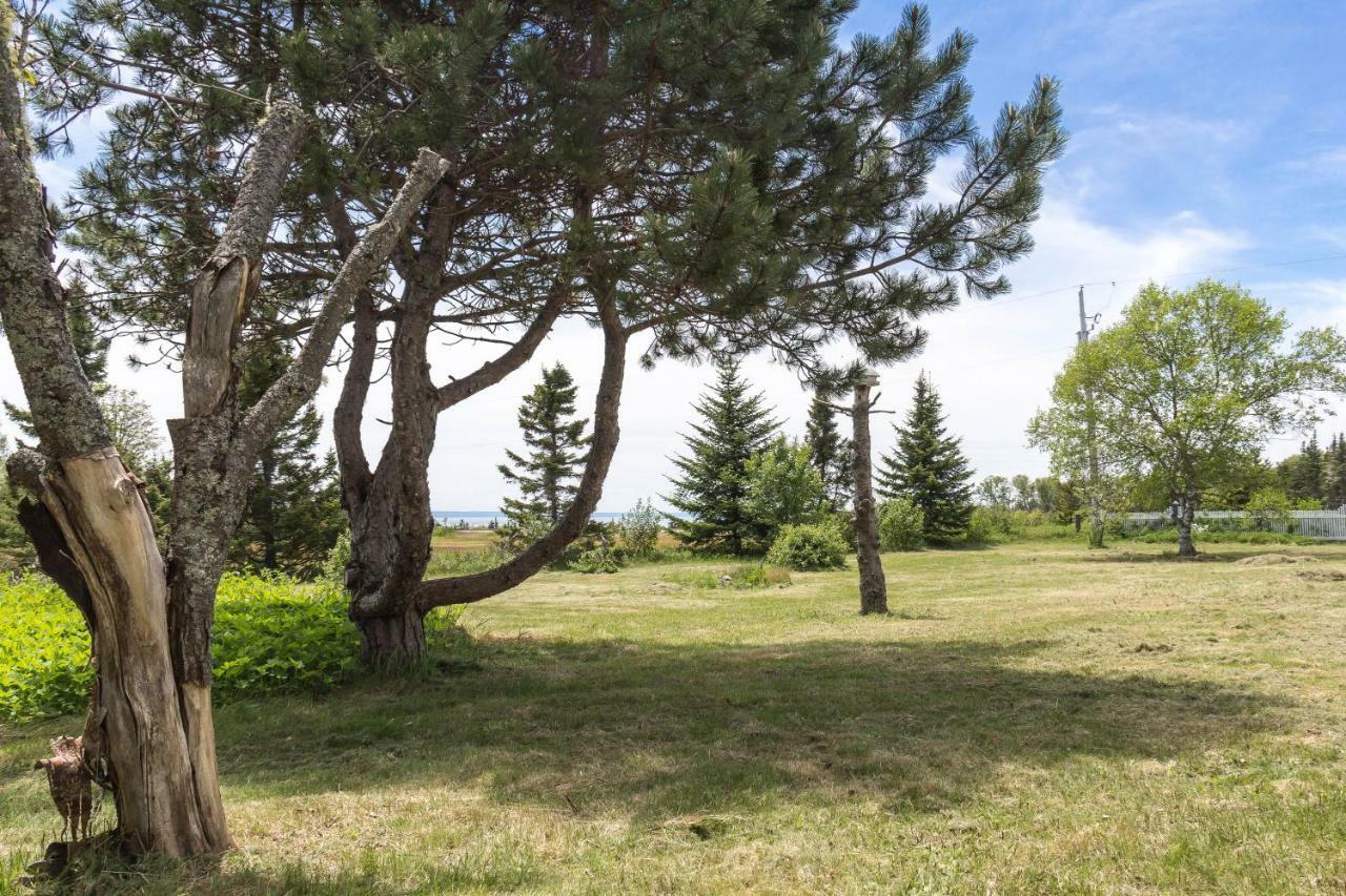 Fox Point Inn Parrsboro المظهر الخارجي الصورة
